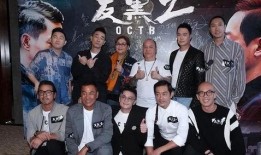 反黑国语版在线观看,揭秘犯罪世界的正义之战